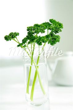 some broccoli sticks are in a glass vase