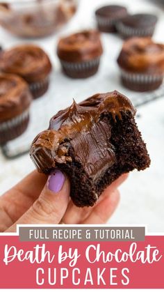 a hand holding a chocolate cupcake with frosting