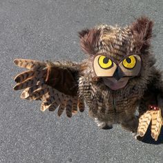 an owl with big yellow eyes is on the ground and has its wings spread out