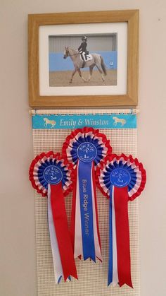 three ribbons hang on the wall in front of a horse and rider medal holder,