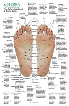 Essential Oil Chart, Reflexology Foot Chart, Sistem Saraf, Săpunuri Handmade, Skin Moles, Reflexology Chart, Get Rid Of Warts, Essential Oils Guide, Foot Reflexology