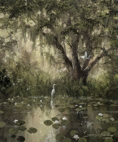 two white birds sitting on top of a tree next to a pond filled with lily pads