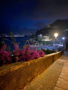 a night time view of the city lights and flowers on the side of a road