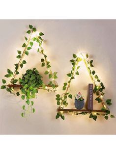 two shelves with plants and books on them, one is shaped like trianglees that are hanging from the wall