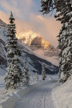 Snowy Mountains Aesthetic, Snowy Nature, Winter Mountain, Pretty Landscapes, Winter Love, Winter Wallpaper, Snowy Mountains, Winter Pictures