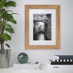 a black and white photo hanging on the wall next to a potted green plant