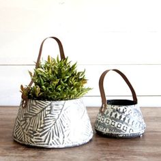 two pots with plants in them sitting on a table