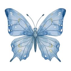 a blue butterfly with yellow spots on its wings