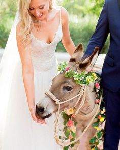 a bride and groom are petting a donkey wearing a flowered bridalress