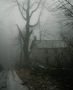 a house in the fog on a country road