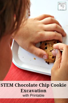 STEM Chocolate Chip Cookie Excavation with Printable Fossil Stem Activities, Cookie Excavation, Chocolate Activities For Kids, Dinosaur Stem, Fossils Lesson, Chocolate Activities, Space Snacks, Fossils Activities, Dinosaur Lesson