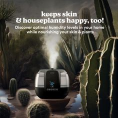 an advertisement with cactuses and plants in the background