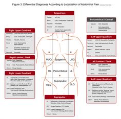 the diagram shows different types of men's body and how they are used to describe them