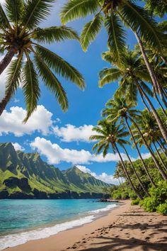 &#8220;Ultimate Guide to Your Hawaiian Adventure 🌴: Tips, Activities, and More!&#8221; Richard Chamberlain, Packing Essentials, Landscape Quilts, Beautiful Sea Creatures, Experience Life