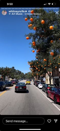 an orange tree is hanging over the street