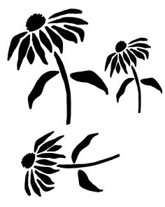 three black and white daisies on a white background, each with one flower in the center