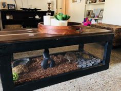 a table with some rocks and plants in it on top of a carpeted floor