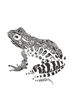 a black and white drawing of a frog