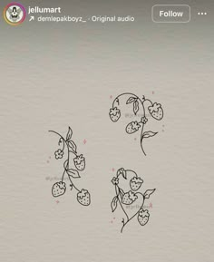 an image of flowers and leaves drawn on paper