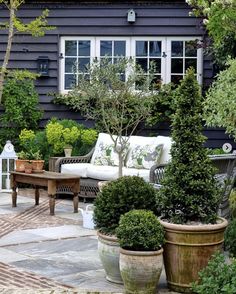 an outdoor living area with potted plants and furniture in front of a black house