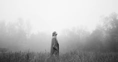 a man standing in the middle of a field on a foggy day