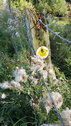 a sign on a wooden post in the middle of some grass and trees with barbed wire around it