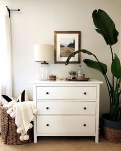 a white dresser sitting next to a large green plant