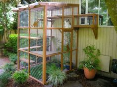 a large bird cage sitting on the side of a house next to a planter