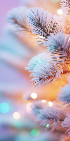 a close up view of a christmas tree with snow on it and blurry lights in the background