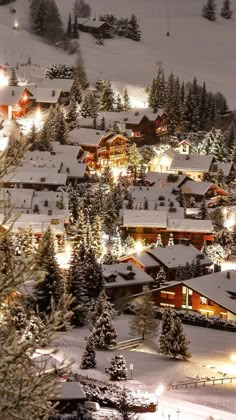 a ski resort lit up at night with snow on the ground and trees in front