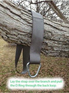 a tree branch with a metal hook attached to it's side and the caption says, lay the strap over the branch and pull the d ring through the back loop