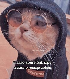 a cat wearing glasses and a hoodie with the caption, 5 saat sonra bak diye abrum o mesai zaben