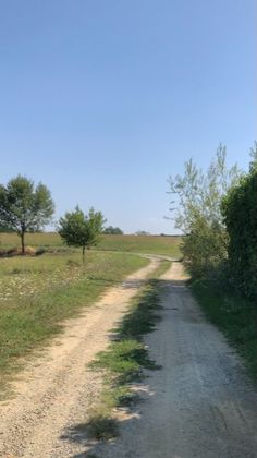 an empty dirt road in the middle of a field