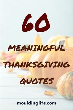 60 meaningful thanksgiving quotes Thank You Quotes For Thanksgiving, Thanksgiving Messages Friends, Canadian Thanksgiving Quotes, Thanksgiving Reflection Quotes, This Thanksgiving Quotes, Thanksgiving Greetings Quotes Family, Thanksgiving Speech Ideas, Thanksgiving Meaning Quotes, Thankful For You Quotes Thanksgiving