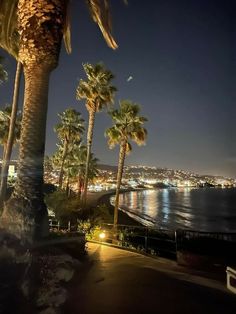 palm trees and the ocean at night with city lights in the backgroung