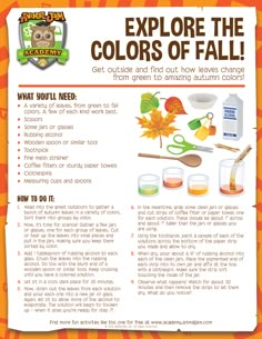 an article about the colors of fall