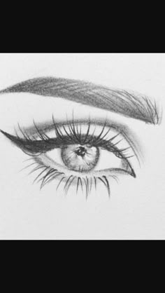 a pencil drawing of an eye with long lashes