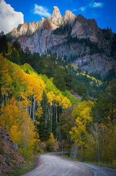 a dirt road surrounded by trees with yellow and green leaves on the mountains in the background