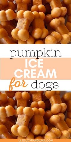 pumpkin ice cream for dogs with text overlay