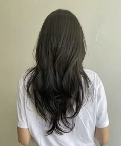 Manta Ray Haircut, Medium Layered V Shaped Haircut, Asian Layer Hair, Long Layered Haircuts Asian Hair, Asian Long Layered Haircuts, Hair Cuts For Long Thick Hair Straight, Wispy Ends Haircut, Korean Hairstyle Layered, Long Layered Hair Asian Straight