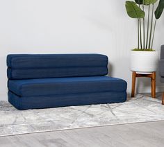 a blue couch sitting on top of a rug next to a chair and potted plant