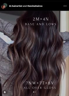 Mushroom Brown Hair Color Shades Eq, Dimensional Brunette Hair, Fall Brunette Hair Color, Warm Brunette Hair, Brunette Hair Color Shades, Warm Brunette Hair Color