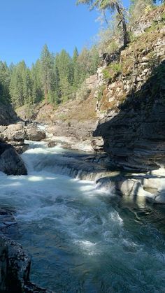 a river flowing through a forest filled with lots of rocks and trees in the background