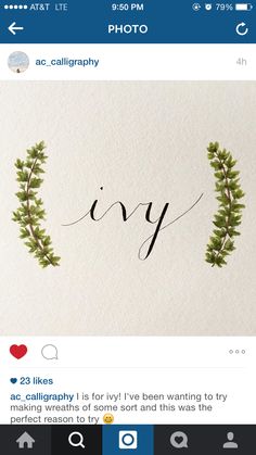 an instagram page with the word ivy written in cursive writing