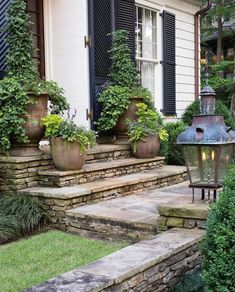 some plants are growing on the steps in front of a house