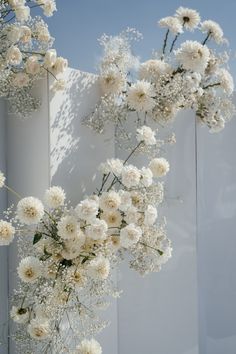 white flowers are hanging from the side of a building