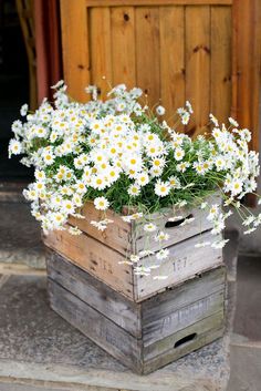 a wooden crate with daisies in it