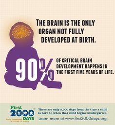 the brain is the only organ not fully developed at birth 90 % of crucial brain development happens in the first five years of life