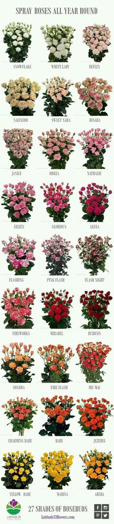 the different types of flowers are shown in this poster