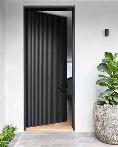 a large potted plant sitting next to a black door